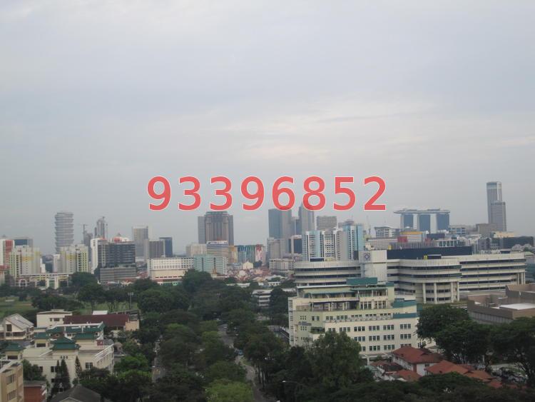 Lucida (D11), Apartment #73014432